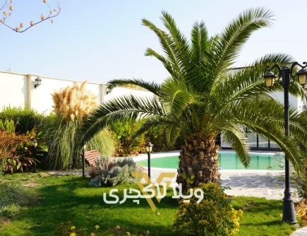 محوطه و فضای سبز باغ ویلا