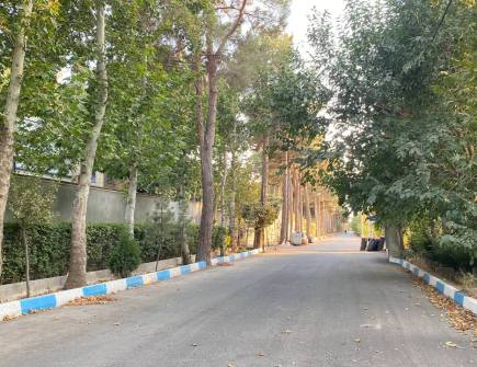 خیابان شهرک زیبادشت